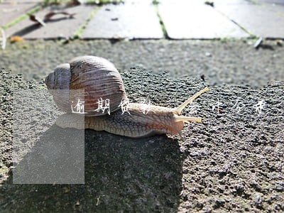 逾期贷款 会计分录 转表外 逾期贷款 会计分录 转表外